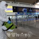 보라매동-17 이미지