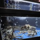 오대양대게수산 이미지