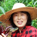 양달농장 이미지