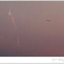 개울가 - 남해군 금암로 190 | 개울가