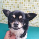 서부북로 이미지