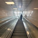 아그라 | 여의도 아그라 내돈내산후기