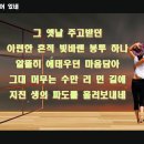 그대별처럼 이미지