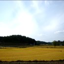 영주 천운정 이미지