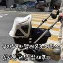 카멜레온 | 신생아유모차, 중고 부가부 카멜레온3 디럭스 실사용 후기(장단점, 베시넷, 버터플라이 비교, 재당근)