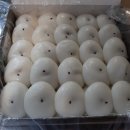 한옥마을 기정떡 이미지