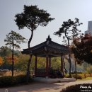 섬진강 한의원 이미지