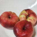 한이농장 이미지