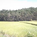 랜드하임공인중개사사무소 이미지