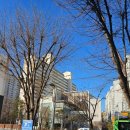 청솔환경산업 네이버블로그