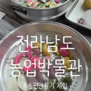 녹색로 | 🌾 [추석체험] 전라남도 농업박물관 송편 만들기 체험 후기 🍂