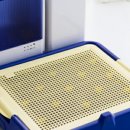 토토스토어 이미지