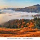 명심보감 이미지