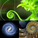 나선형 피보나치 Fibonacci 수열 sequence 이미지