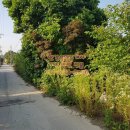 여주좋은땅공인중개사사무소 이미지