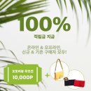 앤클라인핸드백 이미지