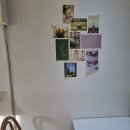 햇살이가득한도서관(심곡동) | 바닐라] 부천대맛집 | 고양이 쿠키가 올라간 인생 라떼! 감성 가득한 심곡동카페 솔직후기 (부천역디저트)