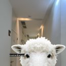 미파문피부과의원 이미지