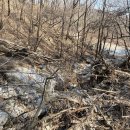 광교산 성복동 등산로 이미지