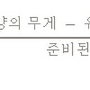레이화 이미지