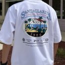 고양이뻐스 이미지