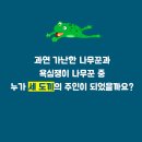 금도끼은도끼 이미지