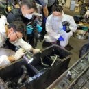 선주로-3 이미지