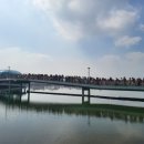 세종의 아침 태권도(산울관) | 다정동태권도 행사규모 거국적인 세종의아침태권도