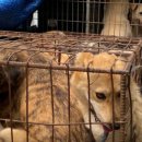 이원택농장 이미지