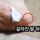 명품헬스팜 이미지