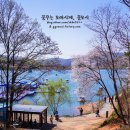 레드브릿지 이미지