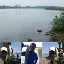 남한강낚시 이미지