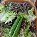 대박뒷고기 이미지