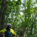 산타 크루즈 이미지