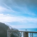 게으른 악어 이미지