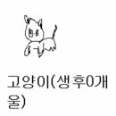 비엘소프트 이미지