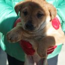 웅상대로 이미지