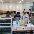 진도특산물 이미지