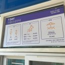 [ 도그베이 ] 바비큐 및 취사 가능한 용인 강아지 수영장 (*^ω^*) *완전 자세한 후기 주의 *