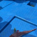 부산낚시 - 속초시 중앙로 148-1 | 부산 기장 배낚시 힐링호 후기｜해녀촌 놀거리