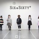 식스 앤 식스티플러스 이미지