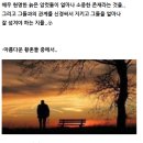 늙은 남편들의 비애(悲哀).. 이미지