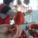 희수농장 이미지