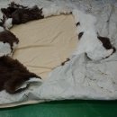 수선세탁 이미지