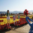 국화축제장 입구 이미지