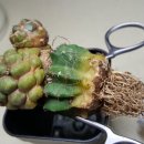 모화하우스 이미지