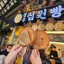 도안365약국 이미지