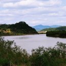 안동강남약국 이미지