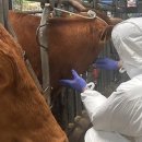 전남축산 이미지