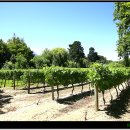 석식농장 이미지